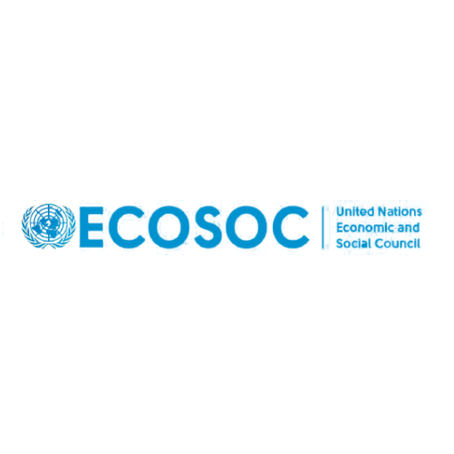 ABAAD ECOSOC